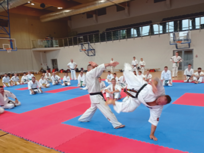 Kielecki Klub Karate Kyokushin Koronea