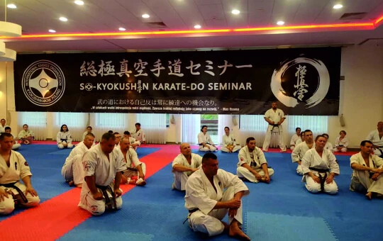 Karate So-Kyokushin