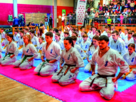 X Edycja Świętokrzyskiej Ligi Karate - Koronea CUP 2024 